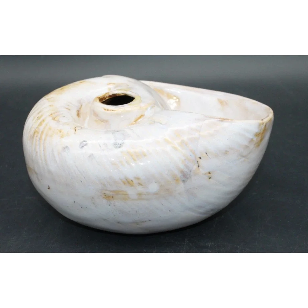 Pier 1 Nautilus Shell Vase Planter Coastal Beach Decor Ceramic 7in Cream Tan